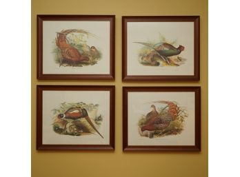 Lot Of 4 Bird Prints