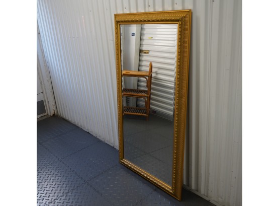 Large Gold Framed Mirror 54x30in