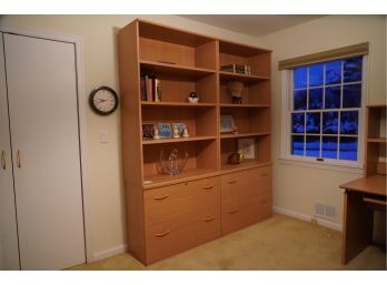 Book Shelves And Cabinet