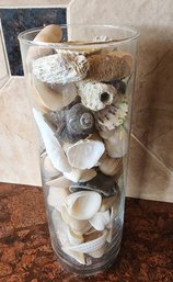 Tall Glass Vase With Seashell Accents