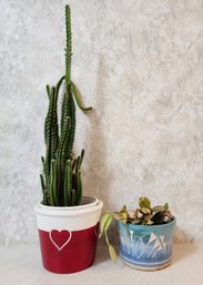 (2) Indoor House Plants With Planters Uncluded