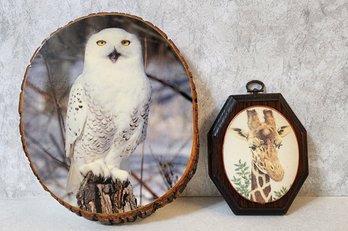 (2) Vintage Animal Wall Accent Selections - Giraffe And Owl