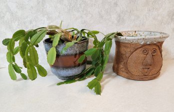 (2) Indoor Plant Selections With Pots