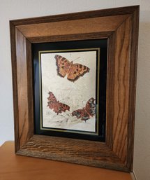 Vintage Framed Butterfly Fine Art Print