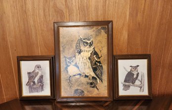 Vintage OWL Fine Art Wall Accent Framed Prints