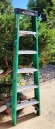 Green Fiberglass WERNER 6 Foot 225 Lbs Ladder