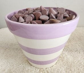 Ceramic Flower Pot Filled With Cone Stone Accents