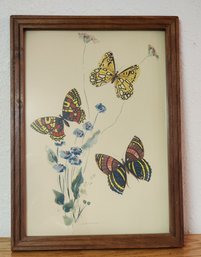 Vintage Framed Fine Art Butterfly Theme Print