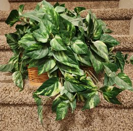 Artificial Ivy Plant With Basket Home Decor