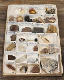 Assortment Of Fossils And Minerals Specimens (Gold, Silver, Deer Teeth, Dinosaur Bones, Etc) #A8