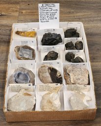 Large Assortment Of Fossils And Minerals Specimens (Dinosaur, Gilsonite, SHARK Tooth, Ribbon Opal, Etc.) #A9