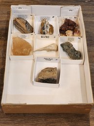 Assortment Of Fossils And Minerals (almandine, Petrified Wood, Opalized Palm Wood, Etc) #A12