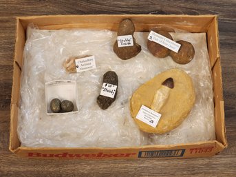 Assortment Of Mineral And Fossil Specimens (Globidens Mososaur, Hematite Concretions, Chalcedony, Etc) #A19