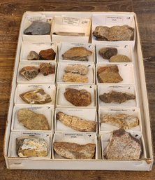 Assortment Of Fossil Specimens (Dinosaur Bones, Elrathia Kinghi, Etc.) #A20