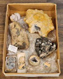 Assortment Of Mineral Specimen (Petrified Wood, Geodesic, Etc) #A23