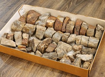 Huge DINOSAUR Fossil Selection Including Rib Bones #A25