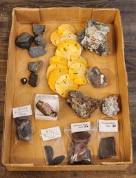 Assortment Of Fossil And Mineral Specimens (DINOSAUR BONES, Etc) #A26