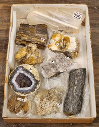 Assortment Of Mineral Specimens (Limb Cast, Geode, Etc) #A43