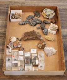 Assortment Of Mineral Specimens (Mixite, Magnesium Limestone, Opalized Wood, Spangolite, Etc) #A83