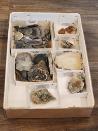 Assortment Of Mineral Specimens (Montana Agates, Rich Gold Ore, Flourite, Soapstone) #A115