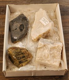 Assortment Of Mineral And Fossil Specimens (Trilobite, Soapstone Steatite, Etc) #A179