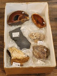 Assortment Of Mineral And Fossil Specimens (Selenite, Trilobite, Dinosaur Bones, Etc) #A183