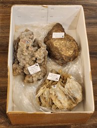 (3) LARGE Mineral And Fossil Specimens (Blue Barite, Youngite And Dinosaur Coprolite) #A184