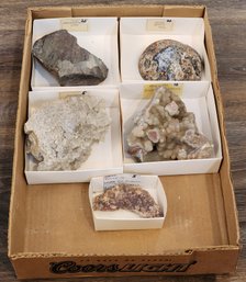 Assortment Of Mineral And Fossil Specimens (Dinosaur Bone, Youngite, Geode, Flourite) #A205