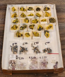 Assortment Of Mineral And Fossil Specimens (Teeth, Ornament, Star Rubies, Etc) #A207