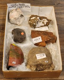 Assortment Of Mineral And Fossil Specimens (Dinosaur Vertebrae, Nephrite Jade, Coconut Geode, Etc) #A233
