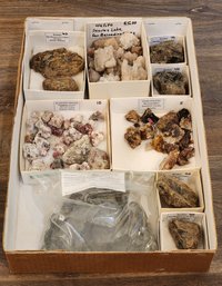 Assortment Of Mineral Specimens (Halite, Amber, Grossular Garnet. ETC) #A238