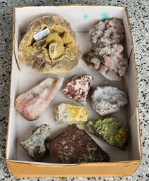 Assortment Of Mineral Specimens (Septarian Nodule, Etc) #A264