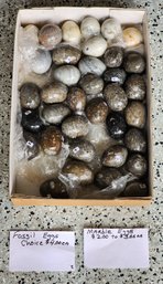 Assortment Of Fossil And Mineral Style Decor Eggs #A281