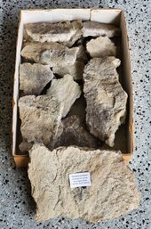 Chalcedony Calcite Christmas Rock Specimens #A301