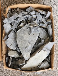 Assortment Of SHALE Mineral Specimens (Trilobite Hunter Bundle) #A305