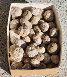 Large Box Of MEXICO Candy Rock Geode Mineral Specimens
