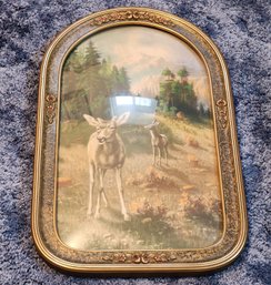 Vintage Oval Glass Front Fine Art Print Of Deer In Field