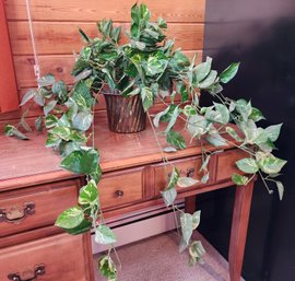 Vintage Artificial Ivy Plant With Metal Container