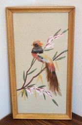 Vintage Framed Feather Art Sculpture Bird Study