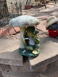 Garden Frog Under Toadstool