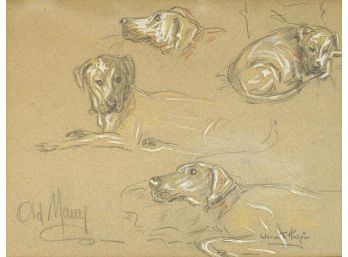 WARREN T. HALPIN (AMERICAN, 1908 - 72): STUDIES OF A DOG, ORIGINAL DRAWING, CIRCA 1930s - 40s