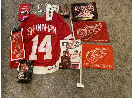 Detroit Red Wings Lot