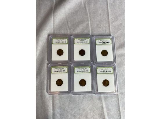 6 Early Lincoln Cents - INB Slabbed