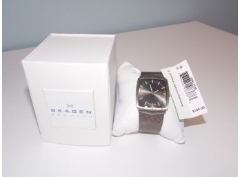 Titanium Skagen Denmark Men's Watch In Box W/ Tags