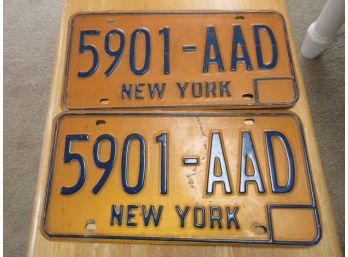 5901 Vintage License Plate Pair