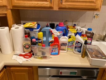 Cleaning Supplies Kitchen (265)