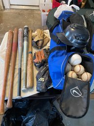 Lot 330 Baseball Bat And Bag Lot