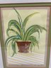 20th Century Spider Plant  Watercolor Painting