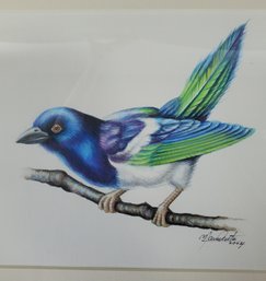 Watercolor Of Bird