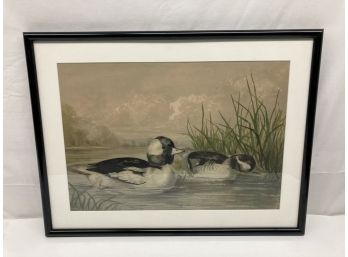 Vintage Ducks Serigraph